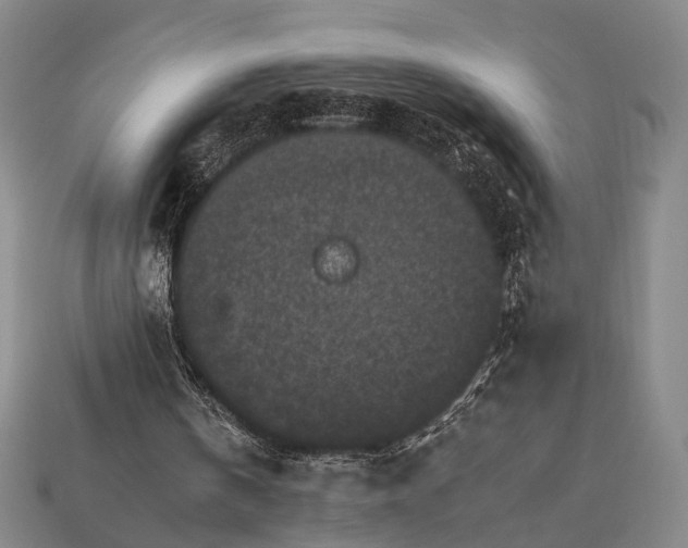 X0000112930146200909071040