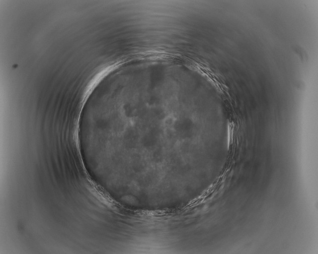 X0000112930147200909071040