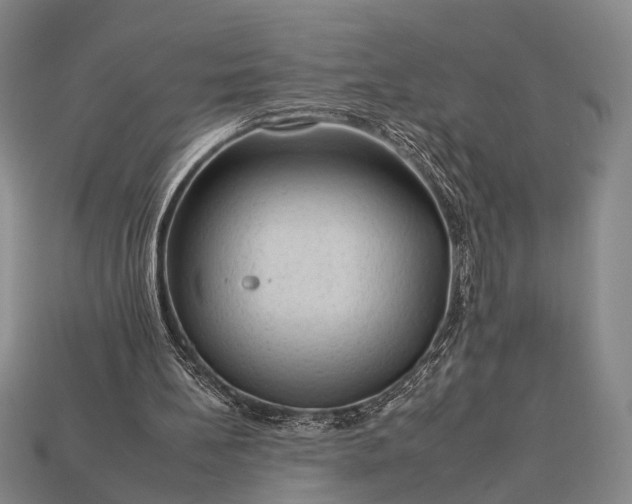 X0000112930148200909071040