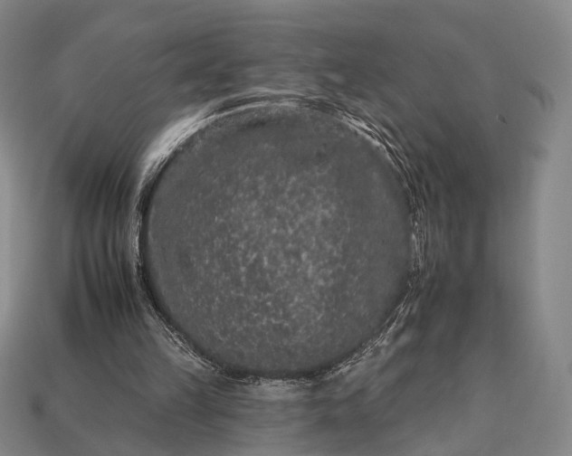 X0000112930149200909071040