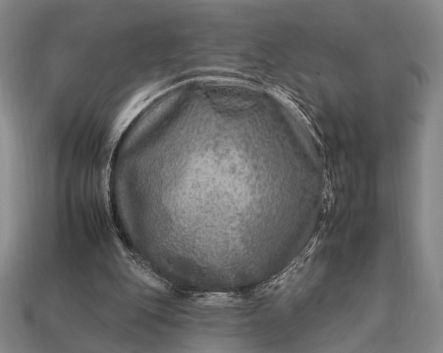 X0000112930151200909071040