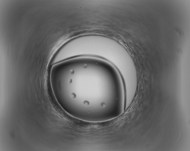 X0000112930152200909071040