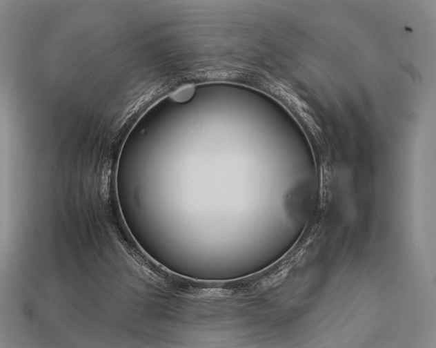 X0000112930153200909071040