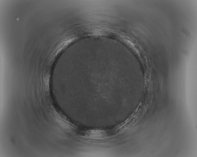 X0000112930154200909071040