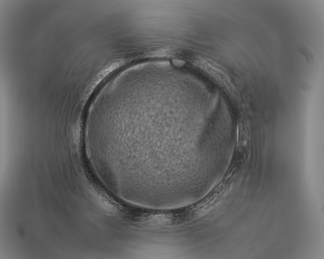 X0000112930156200909071041