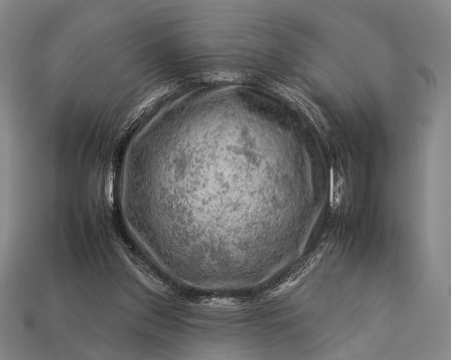 X0000112930157200909071041