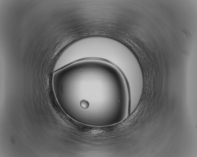 X0000112930158200909071041