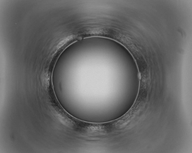 X0000112930160200909071041