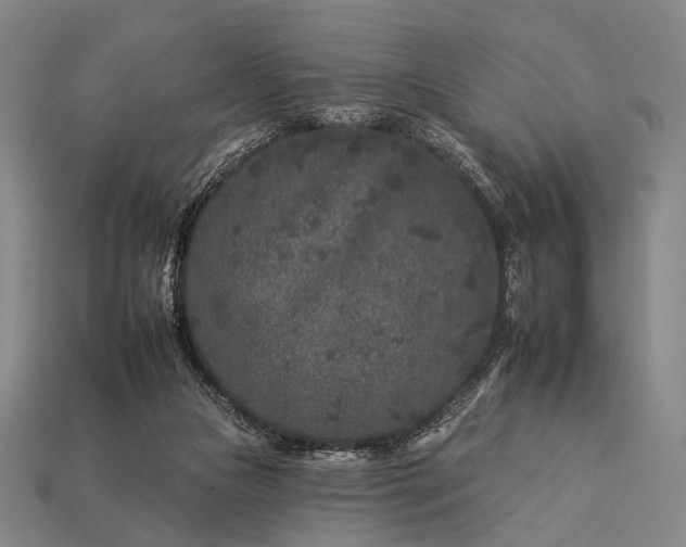 X0000112930161200909071041