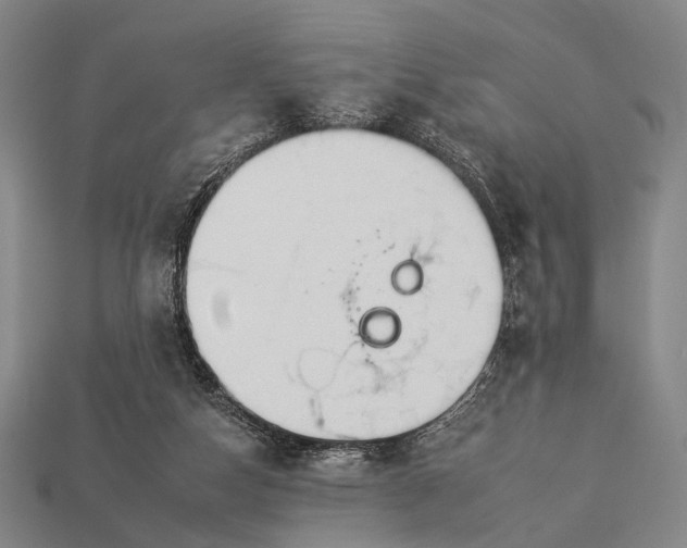 X0000112930162200909071041