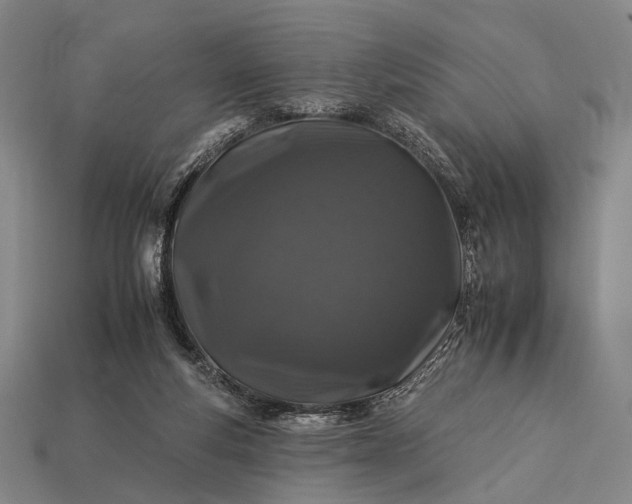 X0000112930163200909071041