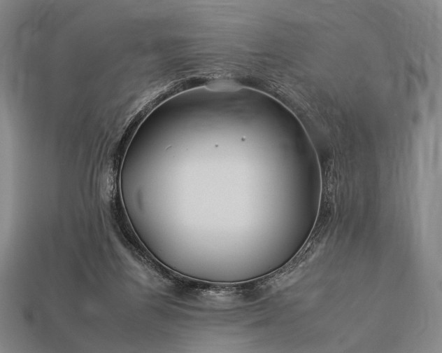 X0000112930164200909071041