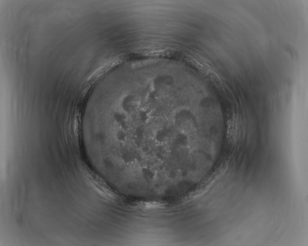 X0000112930165200909071041