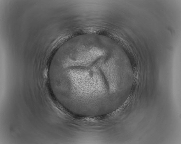 X0000112930166200909071041