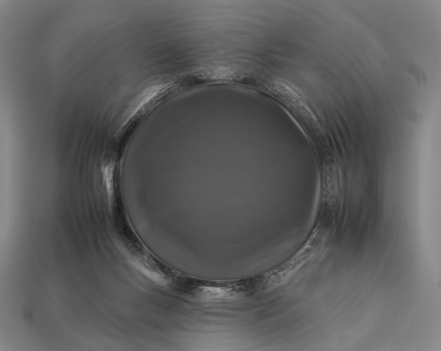 X0000112930167200909071041