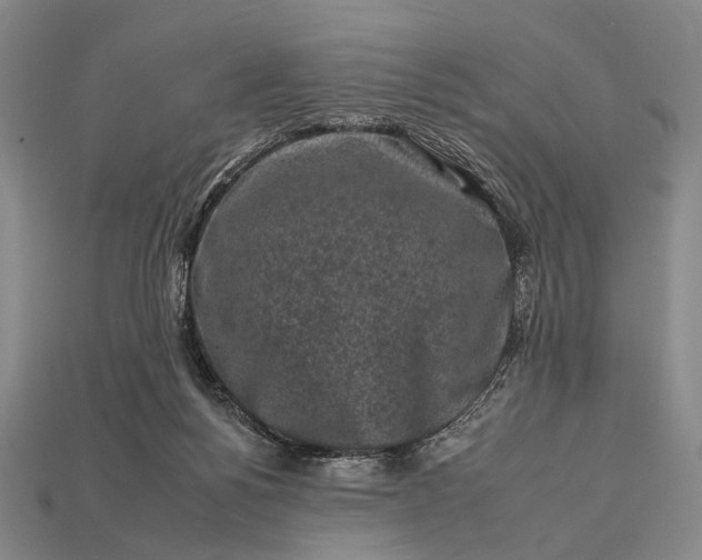 X0000112930168200909071041