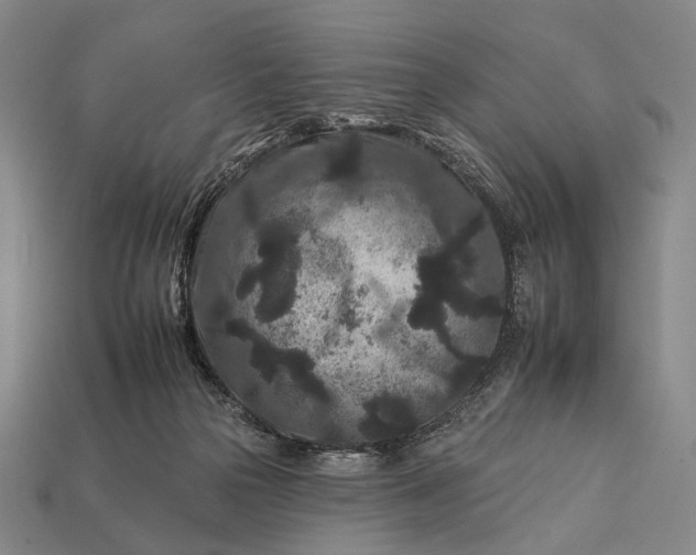 X0000112930169200909071041