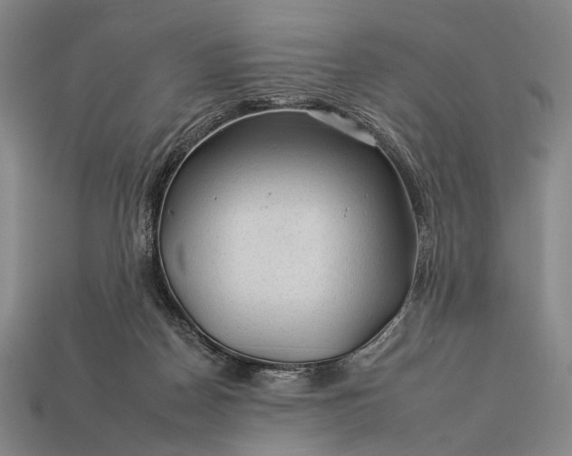 X0000112930170200909071041