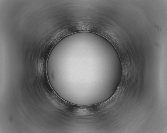 X0000112930171200909071041