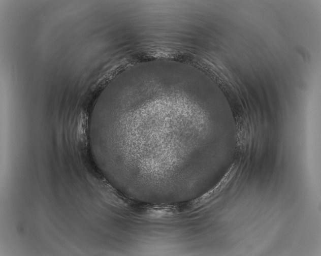 X0000112930175200909071041