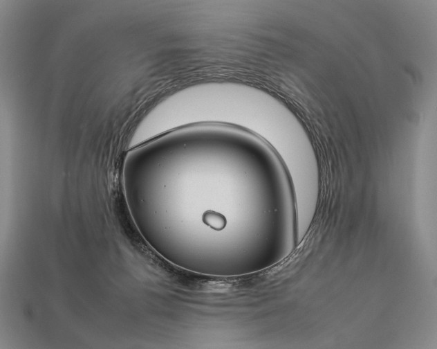 X0000112930176200909071041