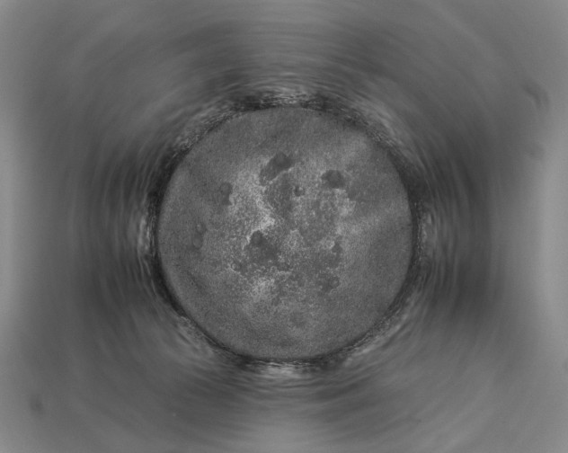 X0000112930177200909071041