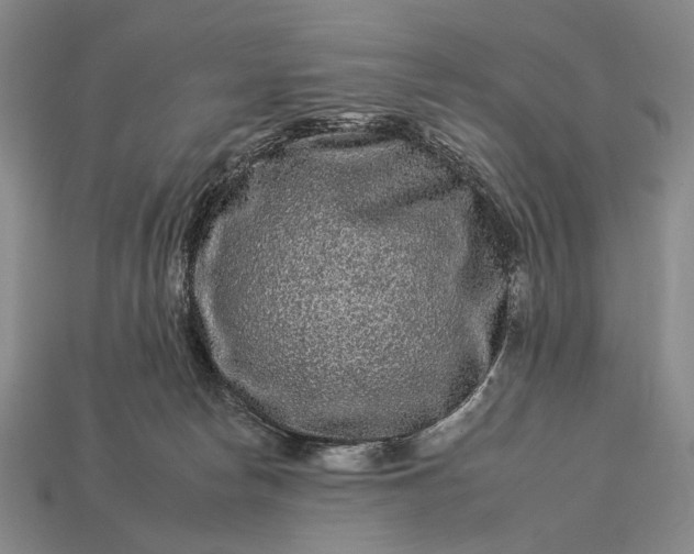 X0000112930178200909071041