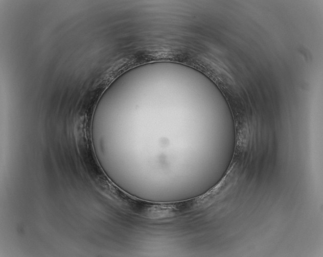 X0000112930179200909071041