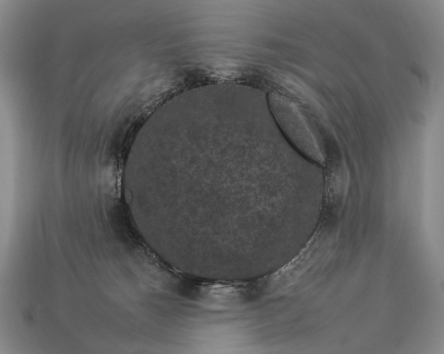 X0000112930180200909071041