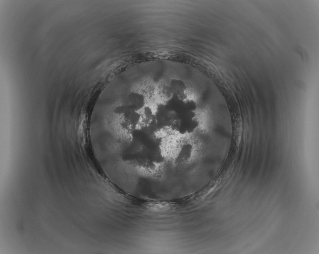 X0000112930181200909071041