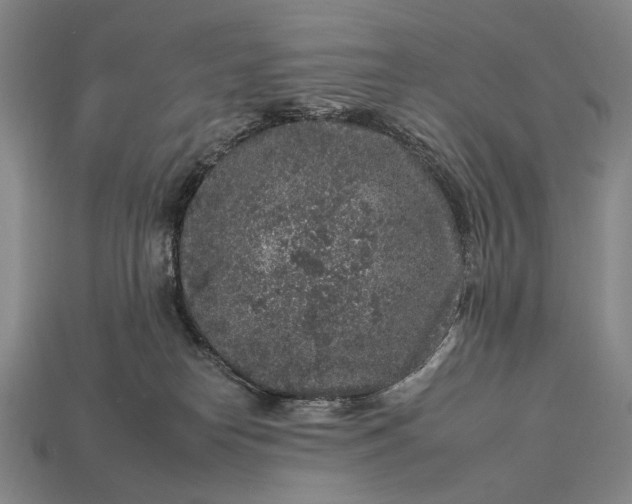 X0000112930182200909071041