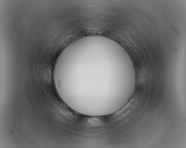 X0000112930183200909071041