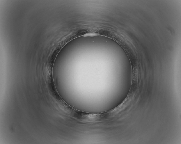 X0000112930184200909071041