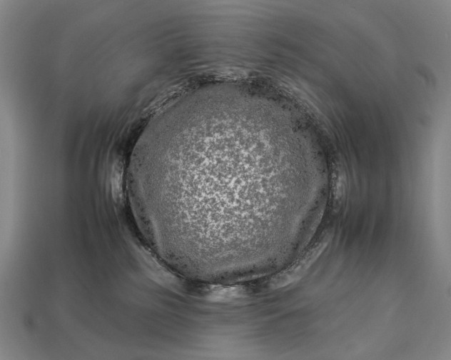 X0000112930185200909071041