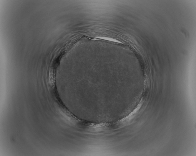 X0000112930186200909071041