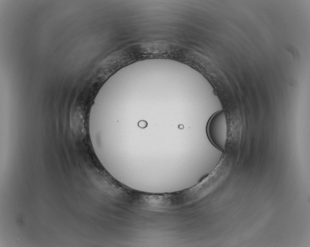 X0000112930187200909071041