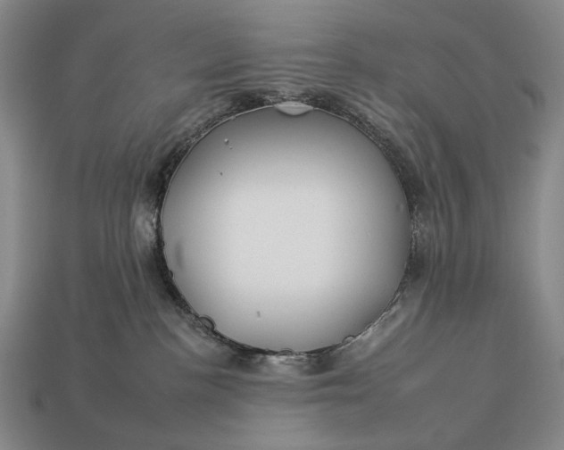 X0000112930188200909071041