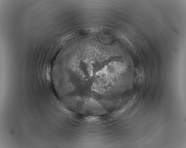 X0000112930189200909071041