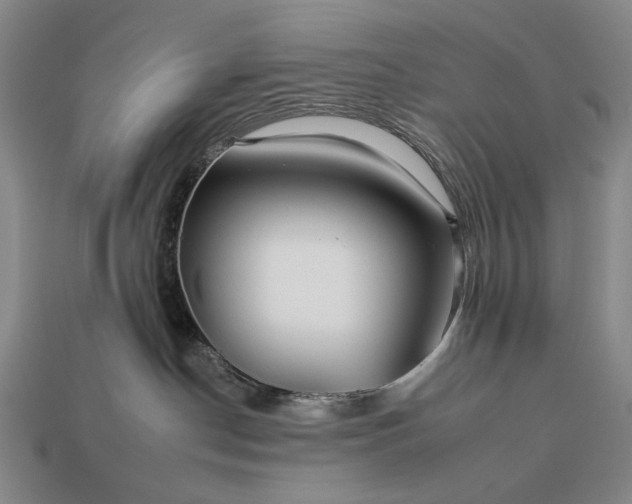 X0000112930190200909071041