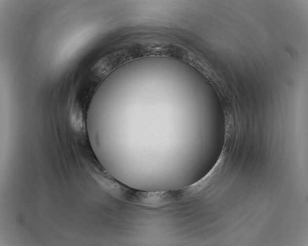 X0000112930191200909071041