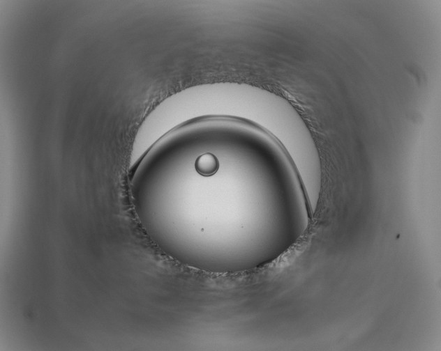 X0000112930192200909071041