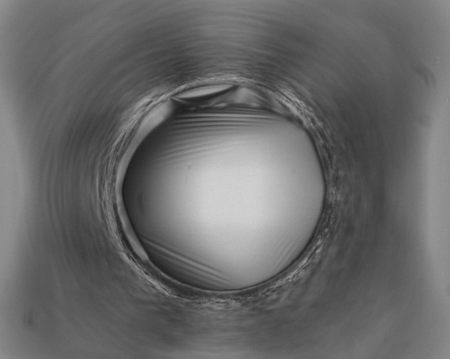 X0000112930193200909071040