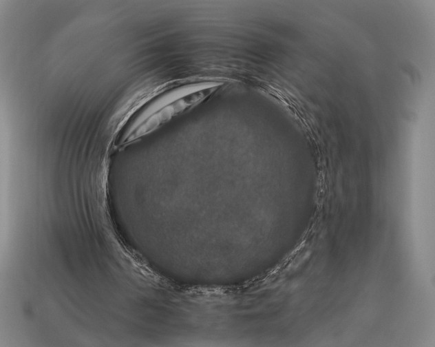 X0000112930194200909071040