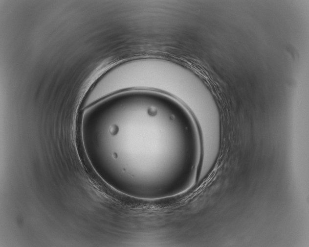 X0000112930195200909071040