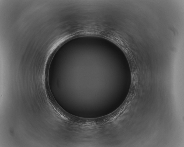 X0000112930196200909071040