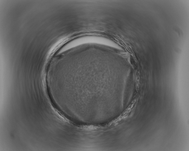 X0000112930197200909071040