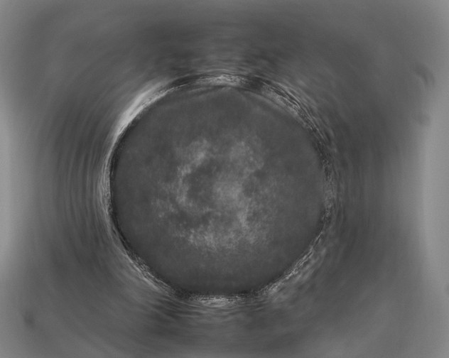 X0000112930198200909071040