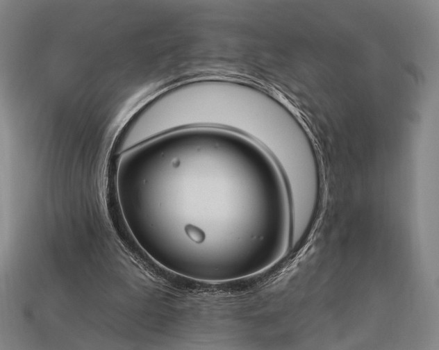 X0000112930199200909071040