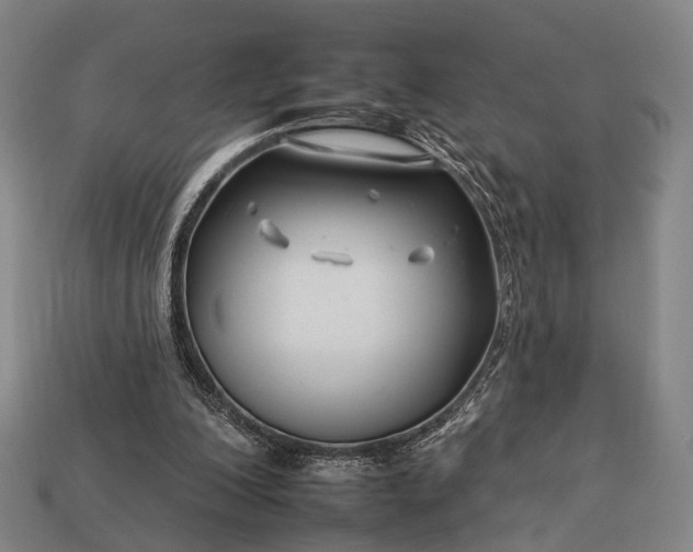 X0000112930200200909071040