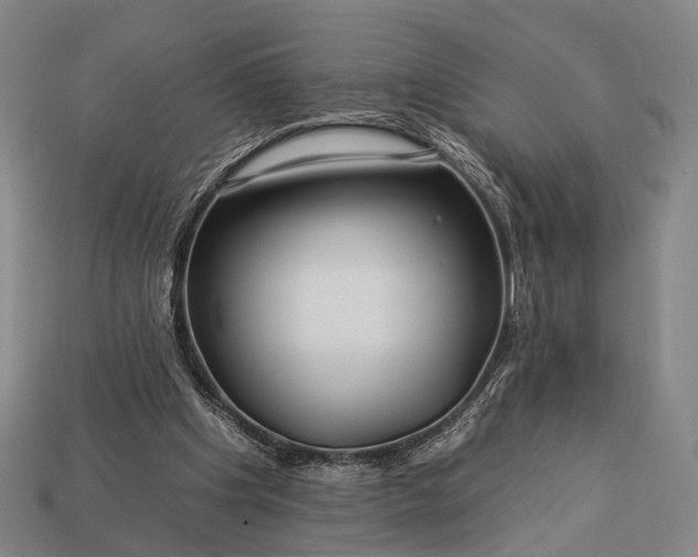 X0000112930201200909071040